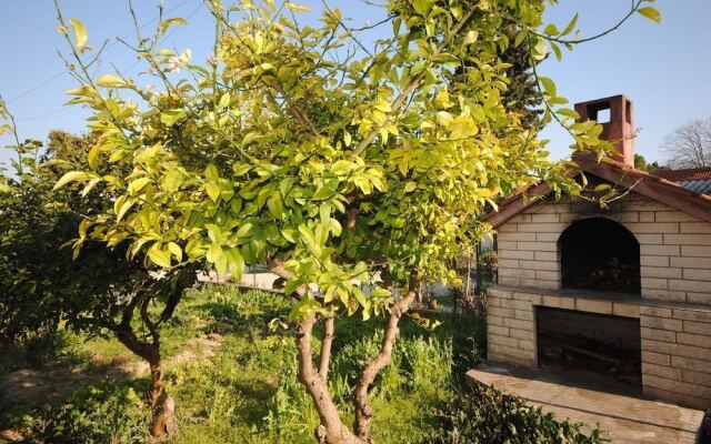 Apartment Antea