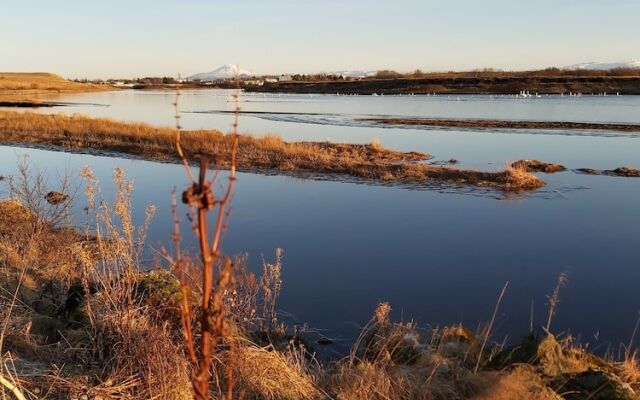 Millhouse River Front