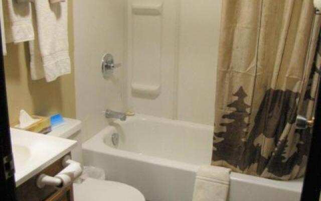 Bear Country Inn and Suites