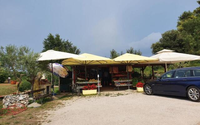Mobile Home Leggiero 156 - Porton Nature Hideouts