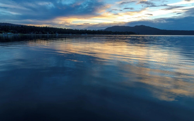 Reality Escape #2466