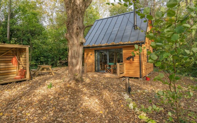 Alfriston Woodland Cabins - Foxes Hollow-hot Tub