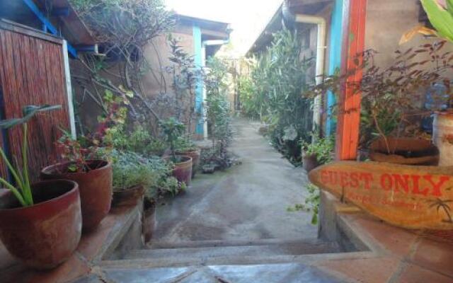 The Lazy Turtle Hotel and Restaurant