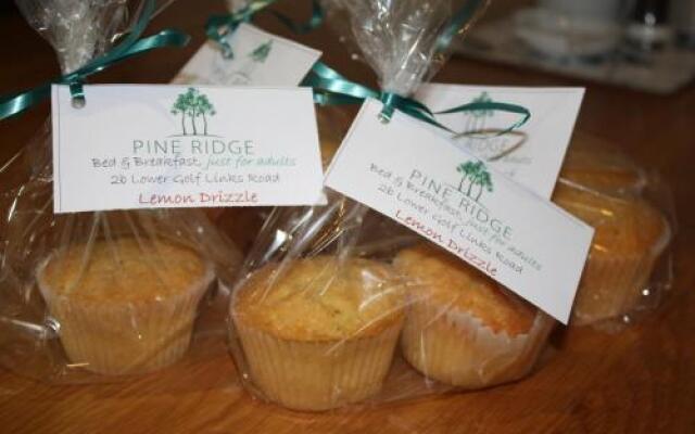 Pine Ridge BB