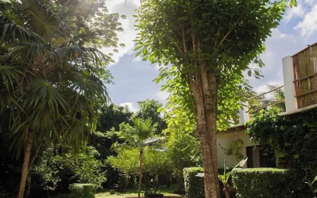 Mini Pini Birdwatching and Cenote Loft4 you Only