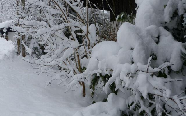 Wohnung in Zenting mit Garten