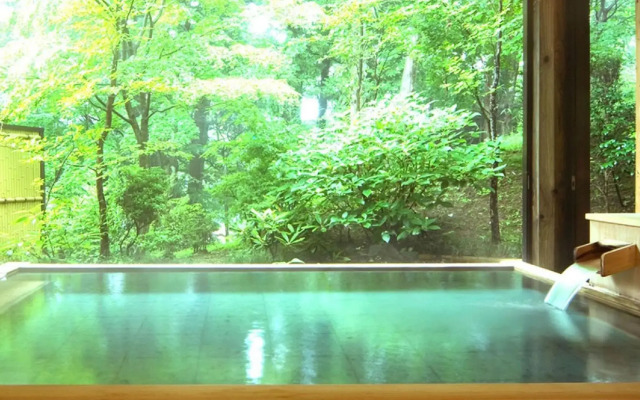 Nikko Hoshinoyado
