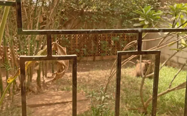Umoja Guest House