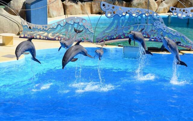 House With 3 Bedrooms in Six-fours-les-plages, With Enclosed Garden an