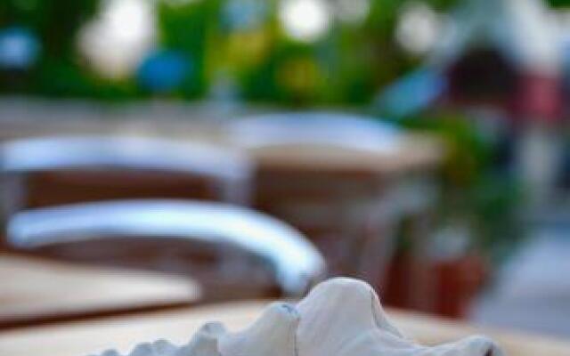 B&B Il Giardino Stellato