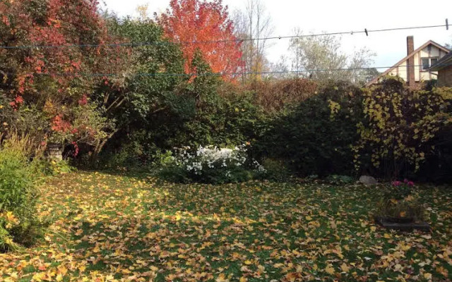 Richmond Manor Bed & Breakfast