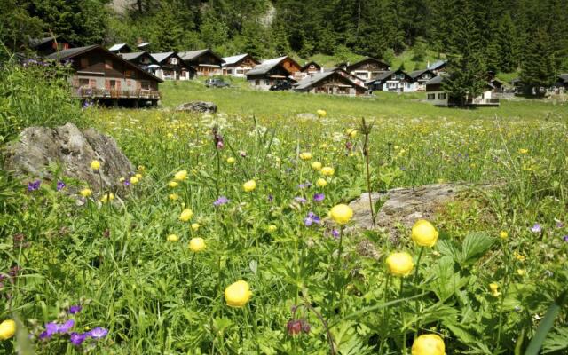 Chalet les Mésanges - Salvan