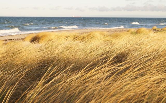 Strandleben Fehmarn - Ferienhaus 1