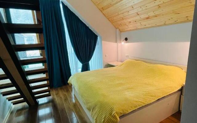 Snow Forest Bakuriani Apartment 17B
