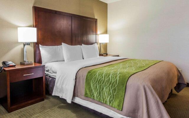 Comfort Inn Kent - Seattle