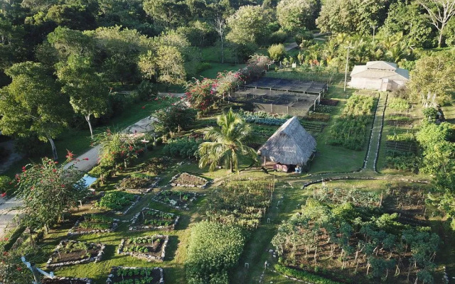 Copal Tree Lodge, a Muy'Ono Resort