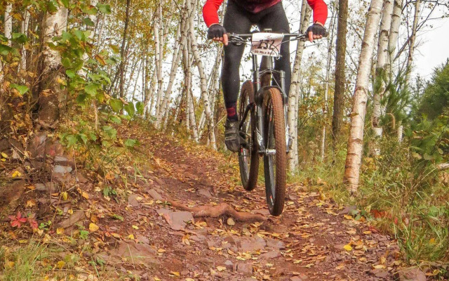 Ruttger's Bay Lake Resort