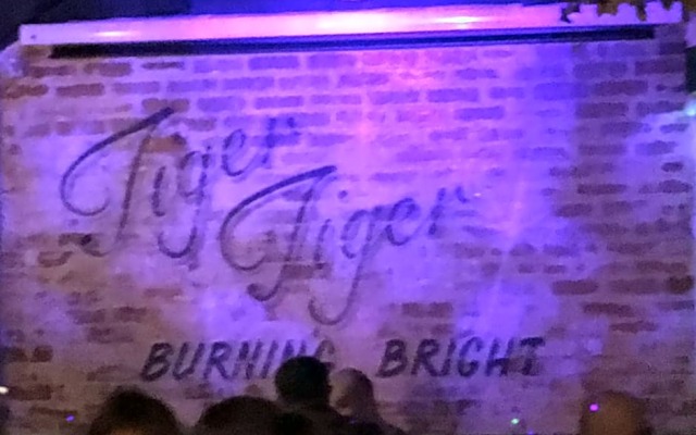tiger inn