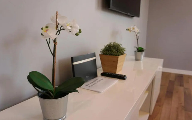 Apartament Lublin Centrum "Foxy Cat"