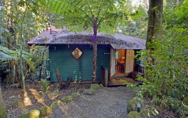 Springbrook Lyrebird Retreat