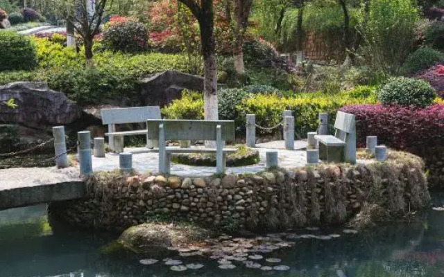 Dragon Tiger Villa