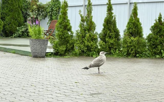 Tallinn Apartments K8 Free parking