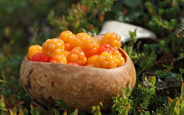 Saltdal Turistsenter - Campground