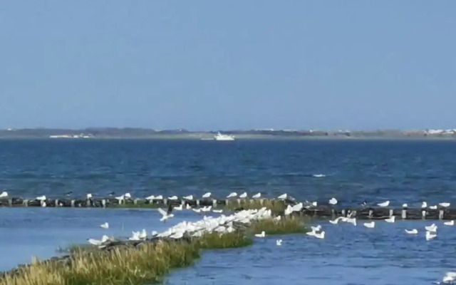 Dinkla 1 Comfortable Holiday Residence