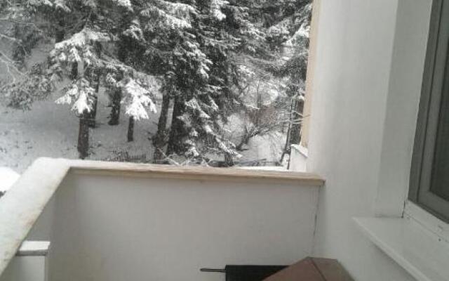 Apartament Nemira