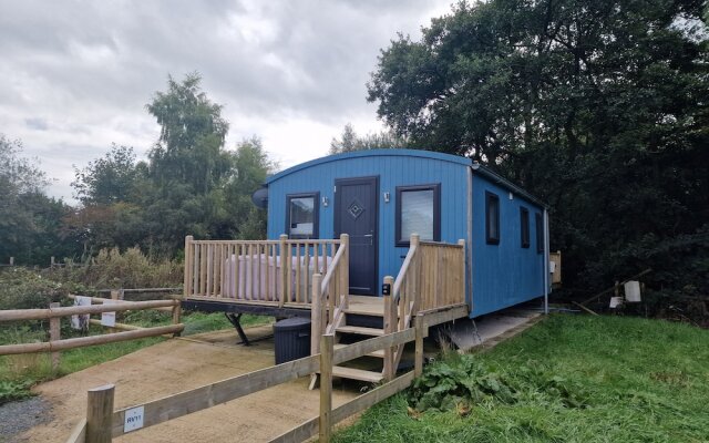 Large Glamping Hut - Riverview 13