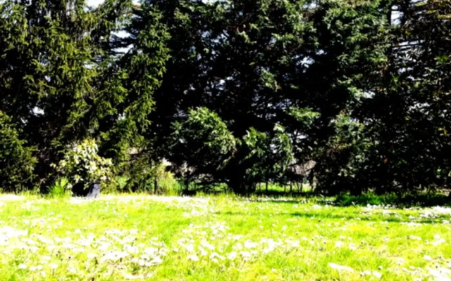 Agriturismo Corte Trincerone