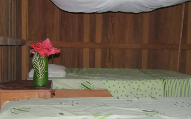 Tambopata Guest House