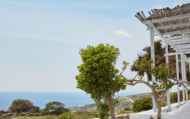 Agnanti Andros Apartments