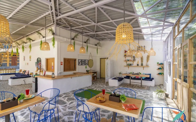 Zostel Homes Tirthan - Gushaini