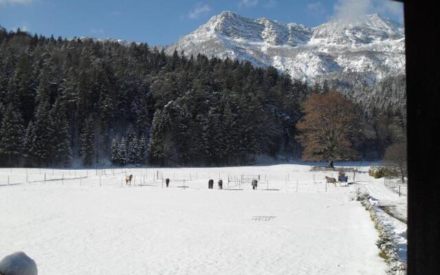 Ferienhaus Gestüt Pfaffenlehen