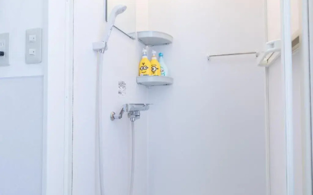 Almas Guest House - Hostel