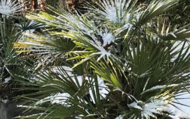 Vakantiewoning Pardoes