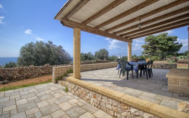 Salvia Lovely Seaview