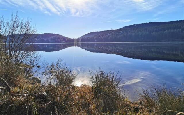 Villa Sunside Appartements und Ferienwohnungen Schluchsee