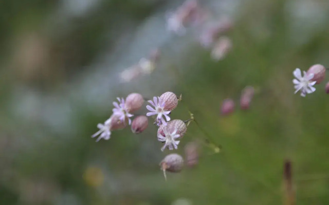 Rifugio Roberto Bignami