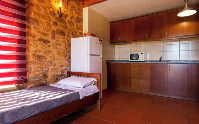 Raízes da Vinha - by Matias Nature