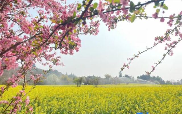 Lijiang Flower Sea Inn (South Gate of Ancient City)