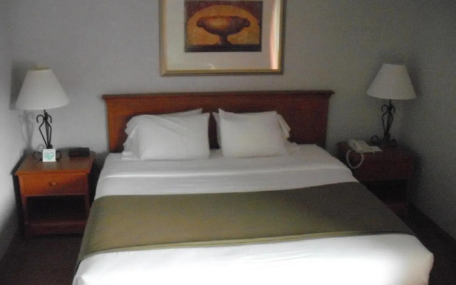 Holiday Inn Express Erwin I-181/i-26