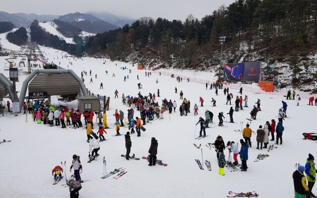 Bears Town Resort