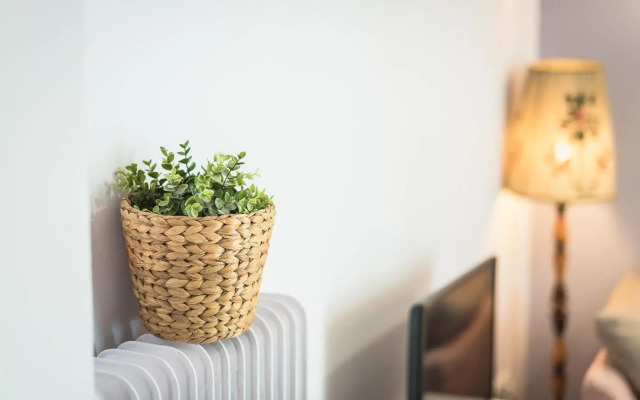 Rare Find Near Acropolis!