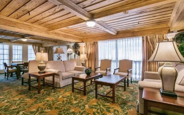 Designer Decorated Palm Beach Hotel NEW