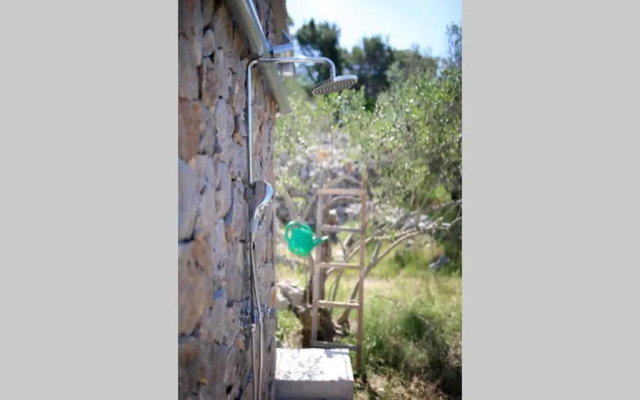 Robinson house''La Vida''