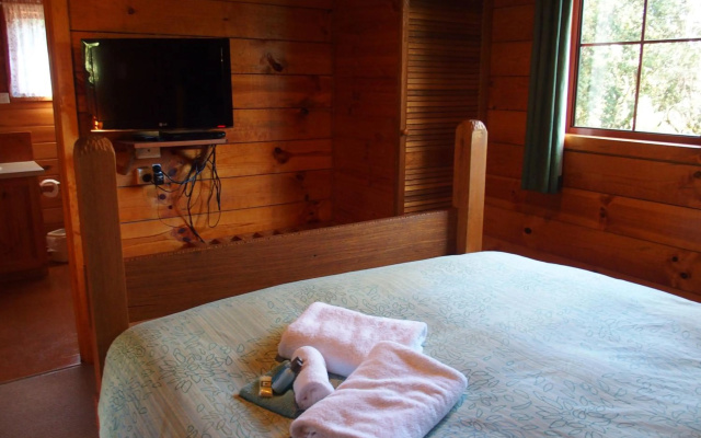 Cradle Highlander – Guest Rooms – Cradle Mountain