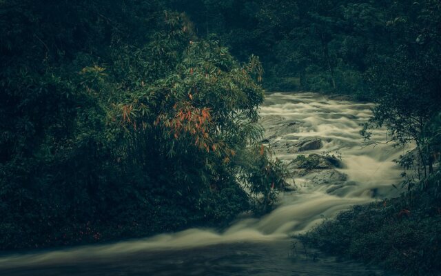 Ela Ecoland Munnar - A Nature Retreat