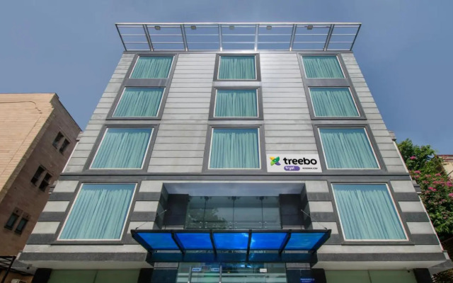 Treebo Premium Rose Mallow